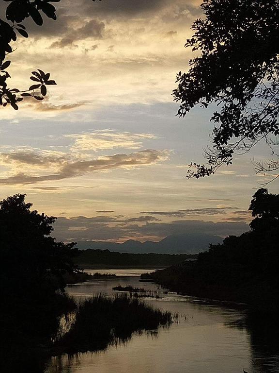 Unique Wild Resort Sauraha Exterior foto