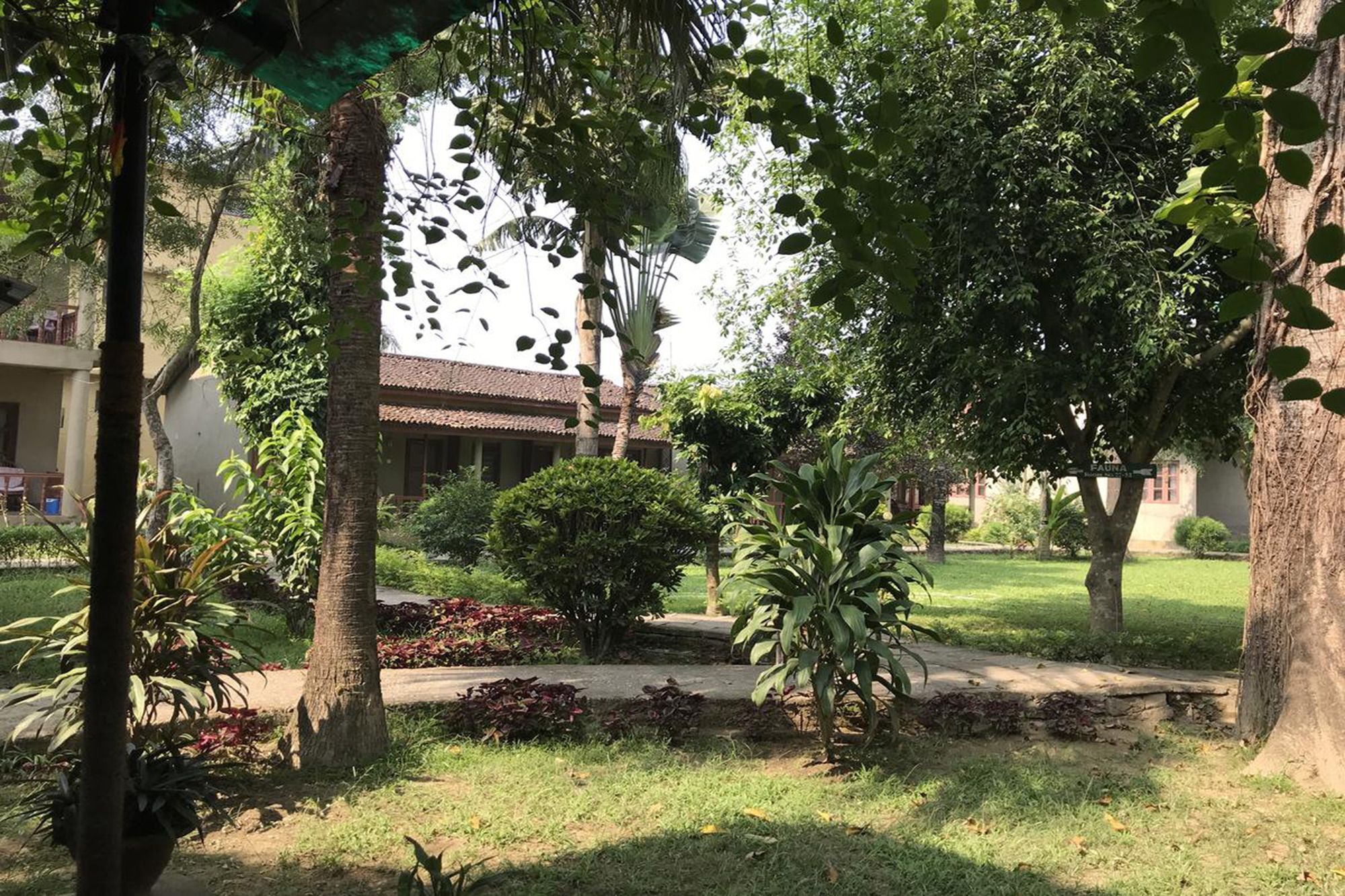 Unique Wild Resort Sauraha Exterior foto