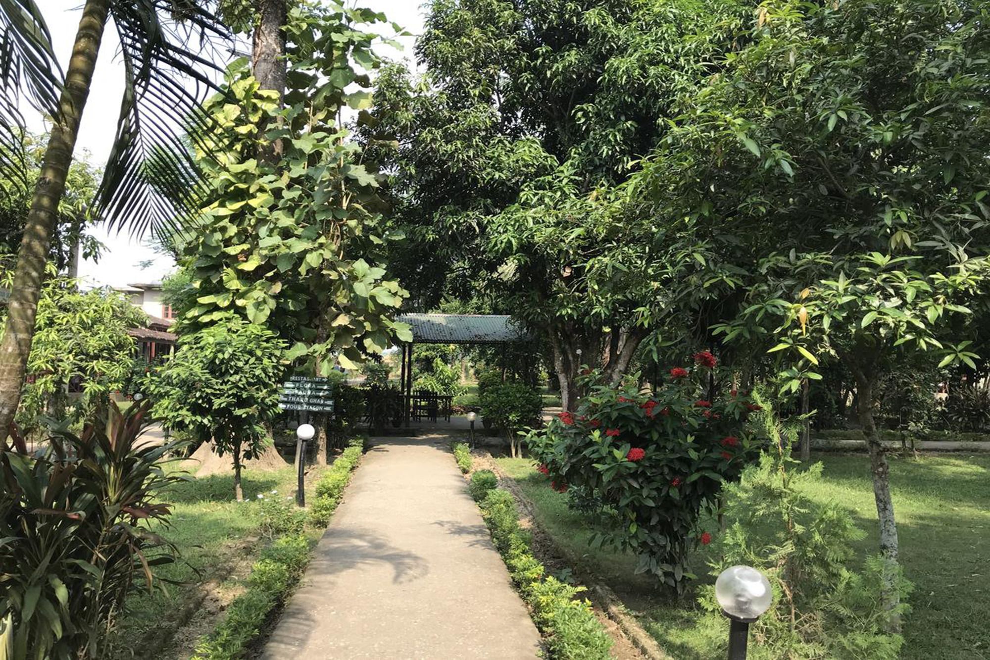Unique Wild Resort Sauraha Exterior foto