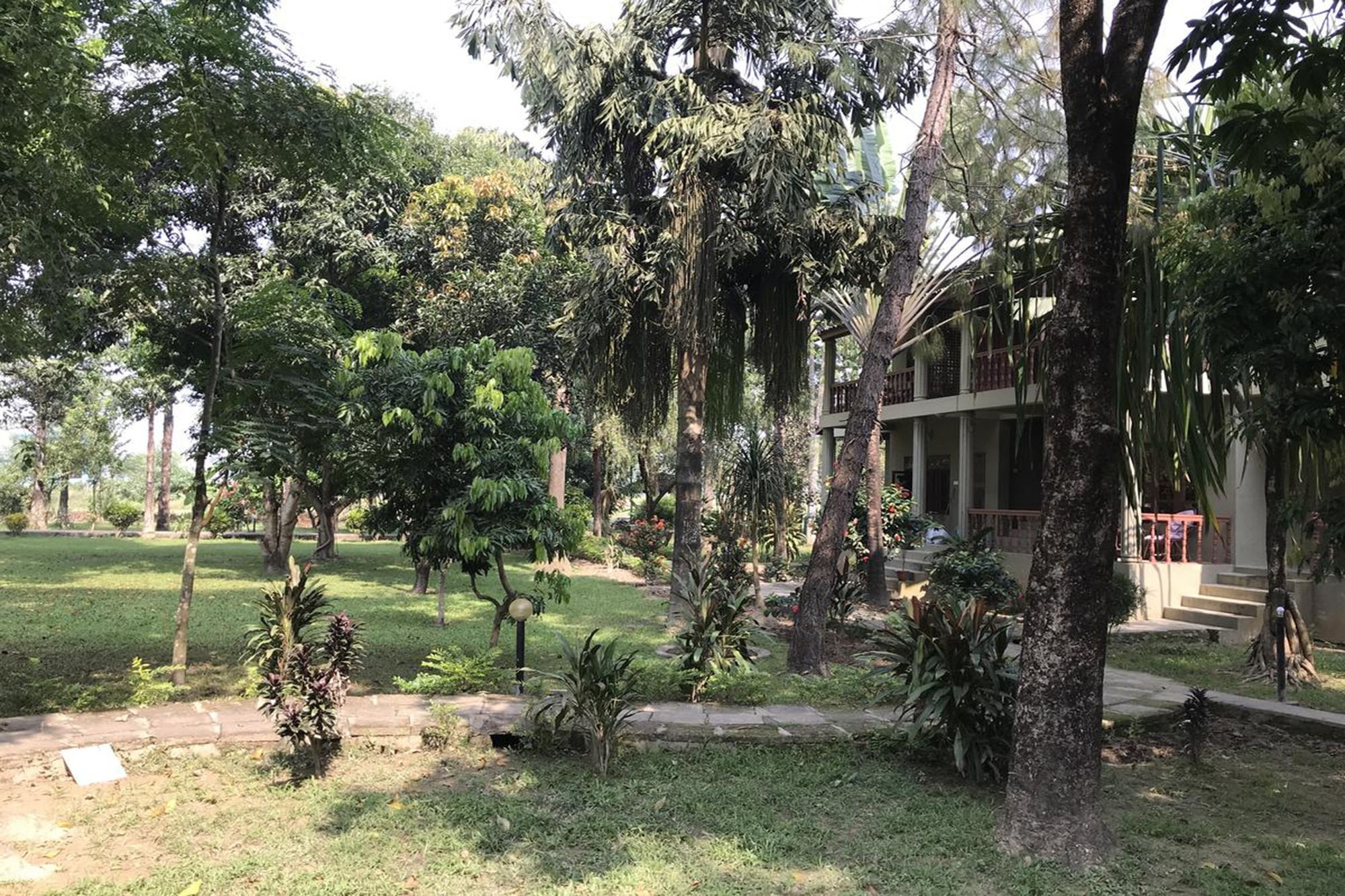 Unique Wild Resort Sauraha Exterior foto