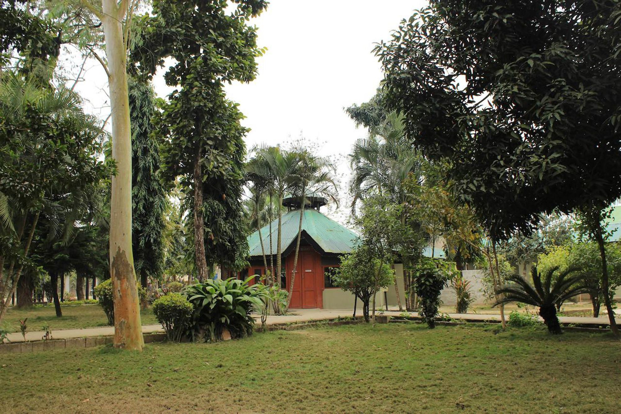 Unique Wild Resort Sauraha Exterior foto